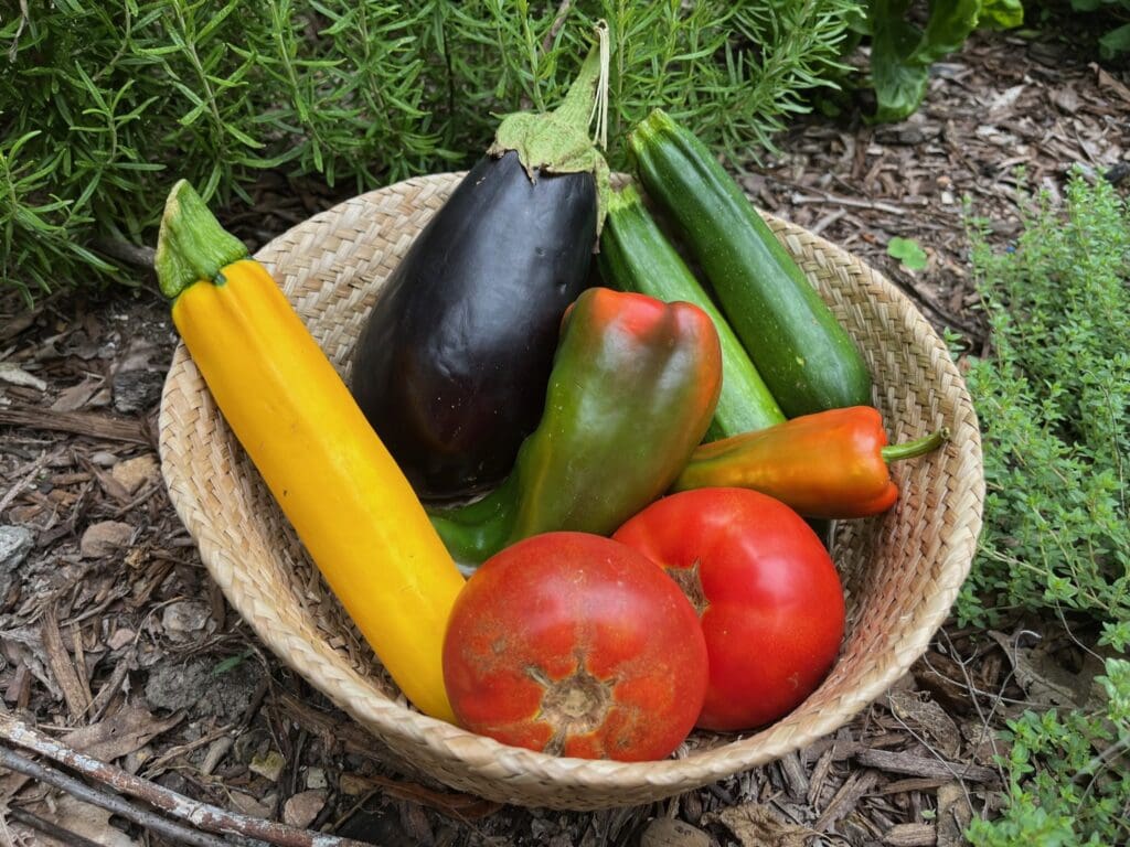 A bowl of vegetables sitting on the ground.