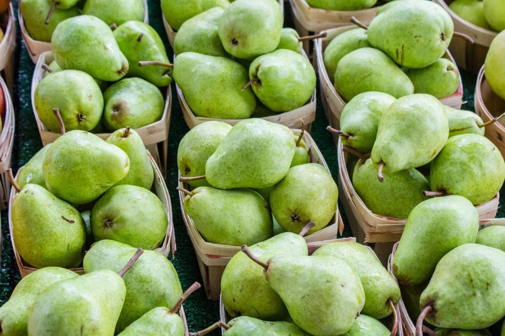 A close up of many baskets filled with pears