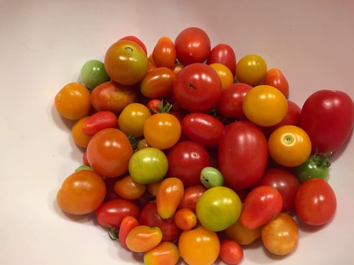 A pile of tomatoes sitting on top of a table.