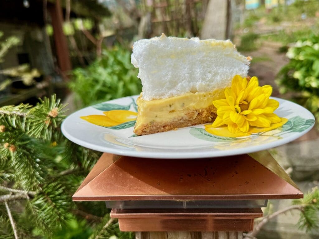 Slice of lemon meringue pie on a plate.