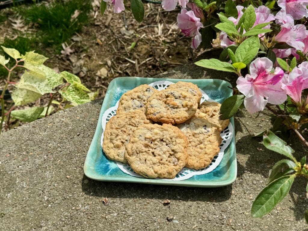 Oatmeal cookies on teal plate outdoors.