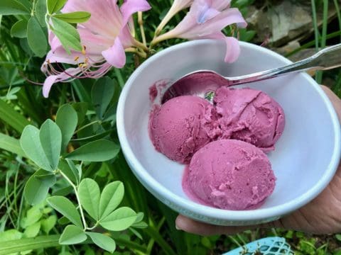 Three scoops of purple ice cream in a bowl.