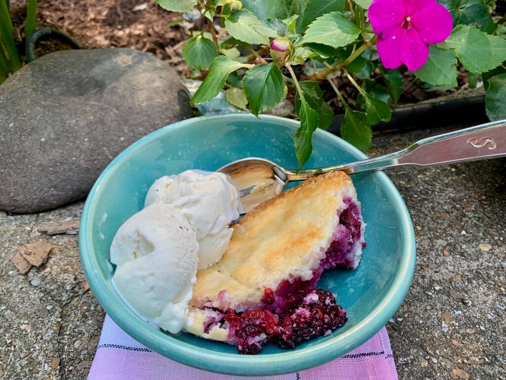 Blueberry cobbler with ice cream.