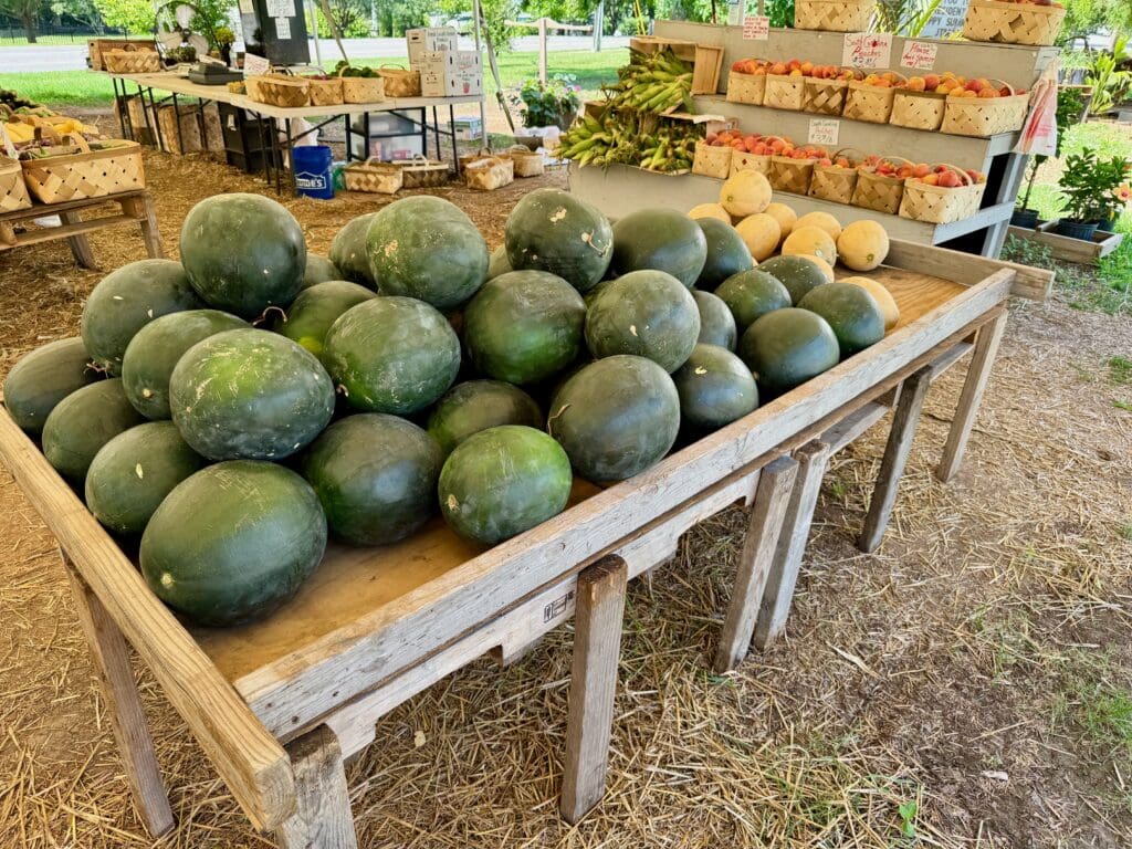 A wooden table filled with watermelons.