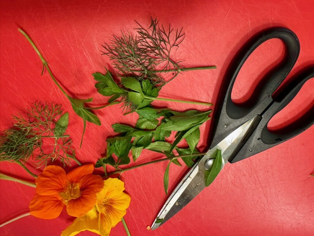 Herbs and scissors on red cutting board.