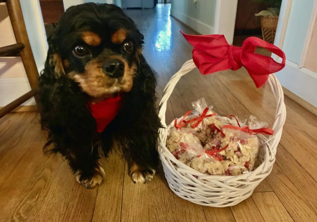 Black dog with treats in a basket.