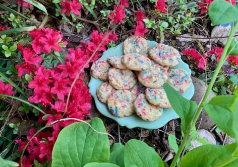 Sprinkle cookies on a blue plate in the garden.