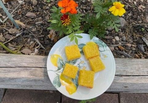 A plate of food on the ground next to flowers.