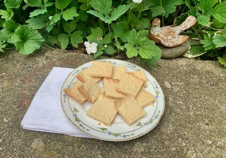 A plate of crackers on the ground next to some plants