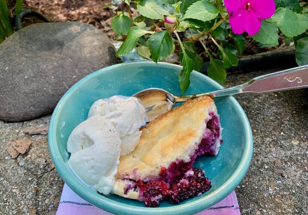 Blueberry cobbler with ice cream.