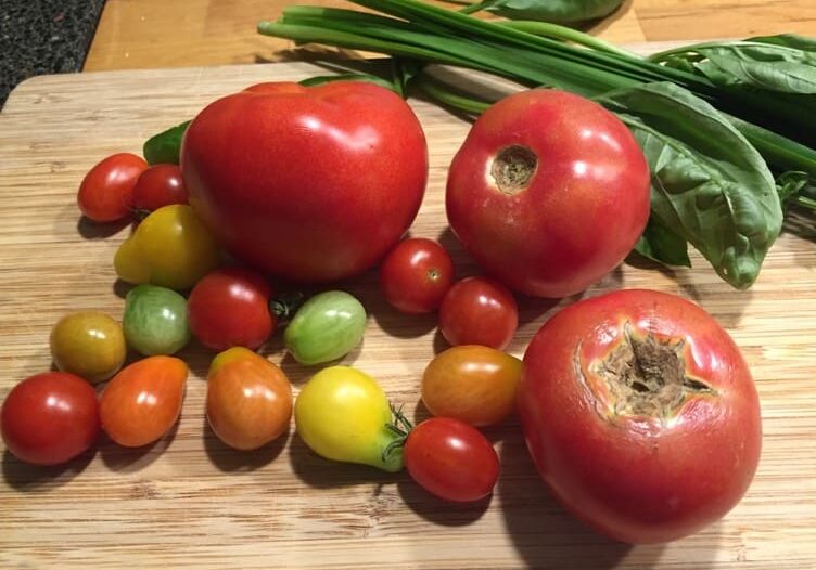 A cutting board with tomatoes and green beans.