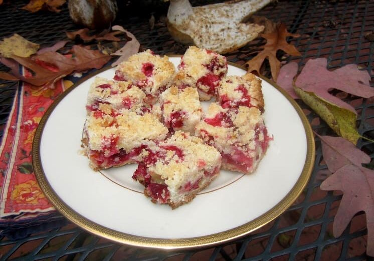 A plate of cranberry bars on top of leaves.