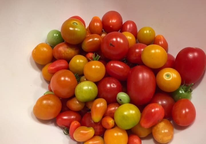 A pile of tomatoes sitting on top of a table.